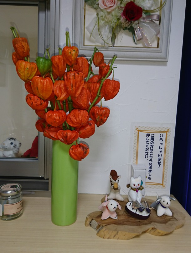 頭の中はお花畑 みんなのホール｜愛媛県松山市｜みんなのホール｜愛媛県松山市